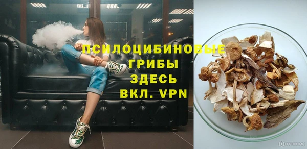 хмурый Богородск