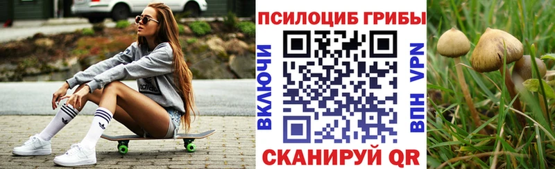 Псилоцибиновые грибы мицелий  Ленинградская 