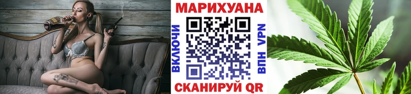 Конопля конопля  Ленинградская 